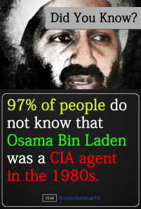 Osama Bin Laden 97 percent